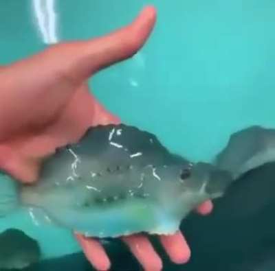 Just doing a group fit check 🎀