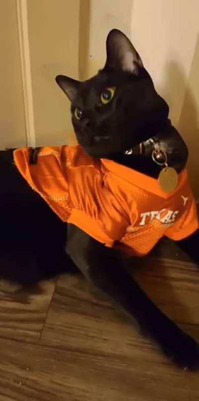 Beautiful Cilantro 🌿