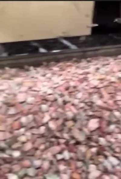 Never make Tik Toks close to moving train