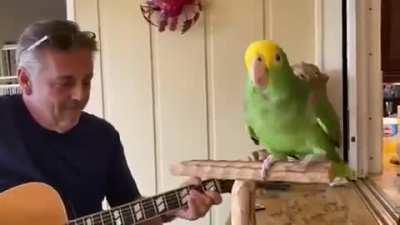 Move over Simon & Garfunkle. It's Tico & Frank! (Google them.)