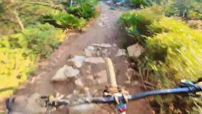 1 year and a half into mountain biking, I'm finally riding some trails that last year scared the shit out of me