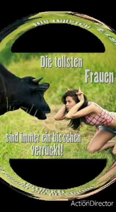 Das hat Ulrike grade in die Hunde-Gruppe🐶🐶🐕🦮🐕‍🦺🐩 auf Whatsapp geschickt 🤣😂😂😅😆😃😆😃😄😁 (Ich habe keine Ahnung welchen Flair ich nehmen soll)