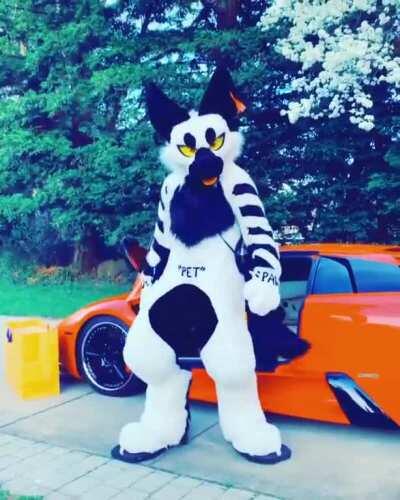 This literal hype beast