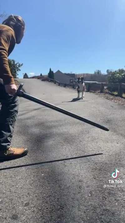 Man challenges an Elden Lord