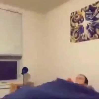 Goes to sleep with partner, starts an orchestra.