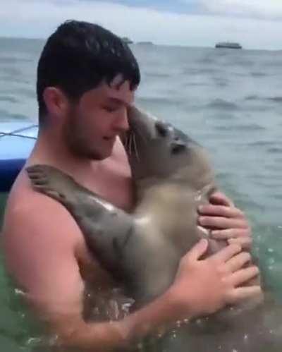 Finally found a real, live Mermaid!