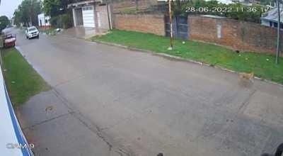 Un patrullero mata a un perro (Goya, Corrientes)