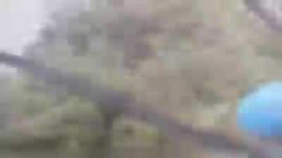 Crossing an unsafe bridge.