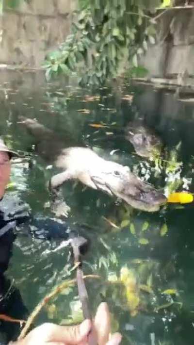 HMB while I hangout with my friends.