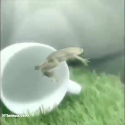 Momento aerodinámico