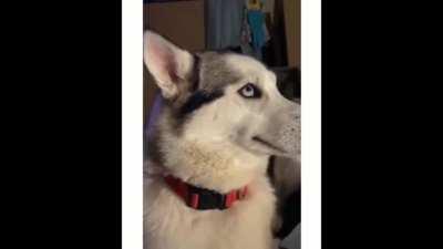 I don't know what you're talking about