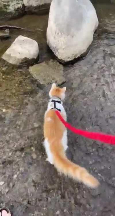 Look at this brave boy! Our very first time in the river. He's 6 months old, I can't wait for all the adventures ahead of us.
