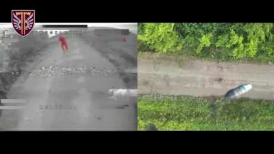 UAV operators of the 77th Airmobile Brigade of Ukraine eliminate Russian infantry and equipment in the Kupiansk direction, Kharkiv region | 09.06.2025