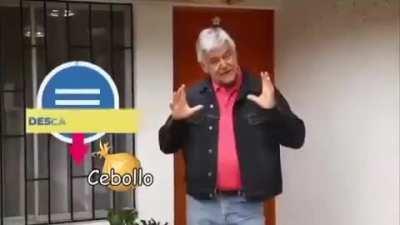 Cebollo