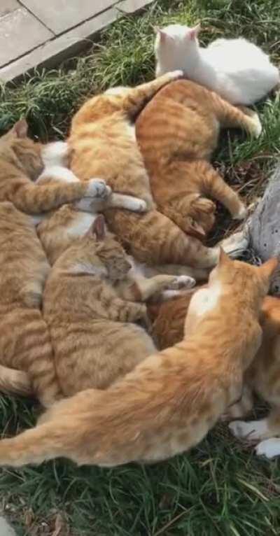 It's break time for them