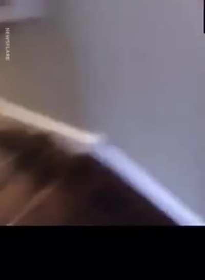 What you doing Tank?