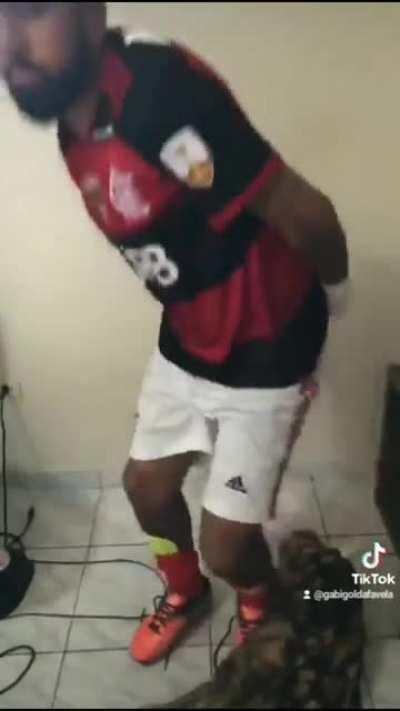 Ninja demais, deveria ser chamar Gabiesconde