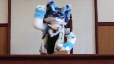 Order in the court!..oops my paws slipped