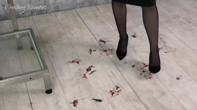 sylvia_fish_crush1cam1