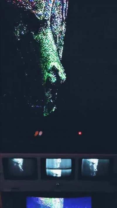 videosynthesis - Video #3484