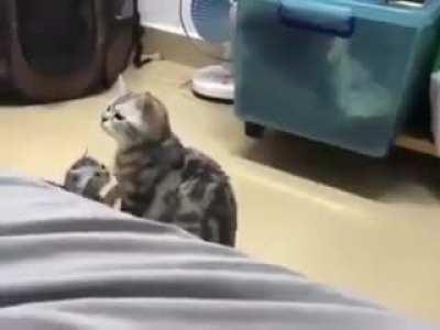 When you forget you have a kid.