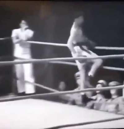 Fly like a bee, sting like a butterfly