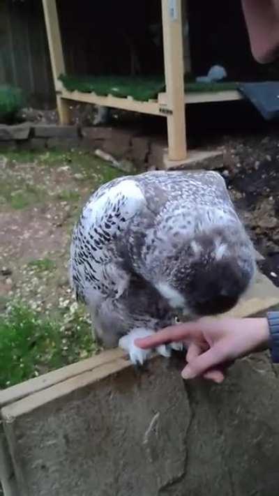 Don't touch my feet.Please.