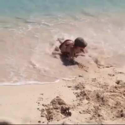 Mermaid returning home