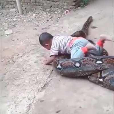 Happy snek with her next meal