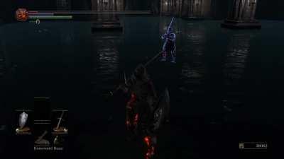Just took out the alligators, no health, no estus, got invaded as I was about to rest…the invader knew the deal.