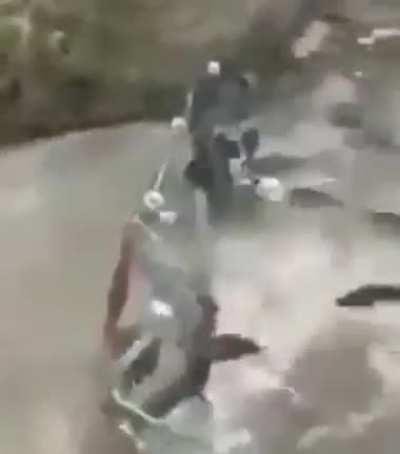 Trying to catch some fish