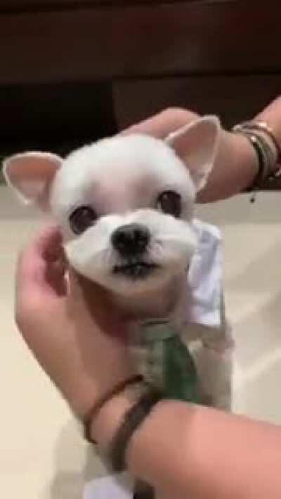 Picks out his own swag