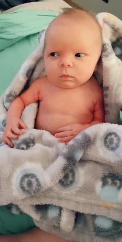 No, I didn’t like it