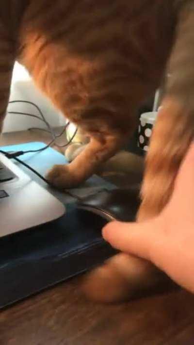 Come back from my lunch break and…