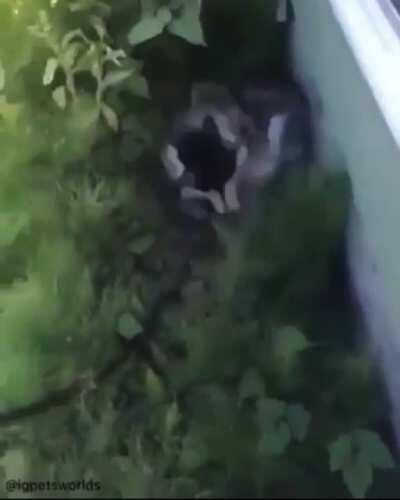 Tell us how you really feel! 🤣🤣