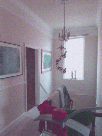 LSD Replication (200µg)