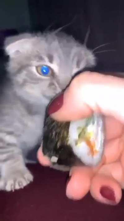 Those claws and growls