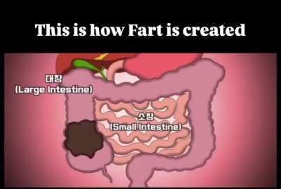 This is how fart is created