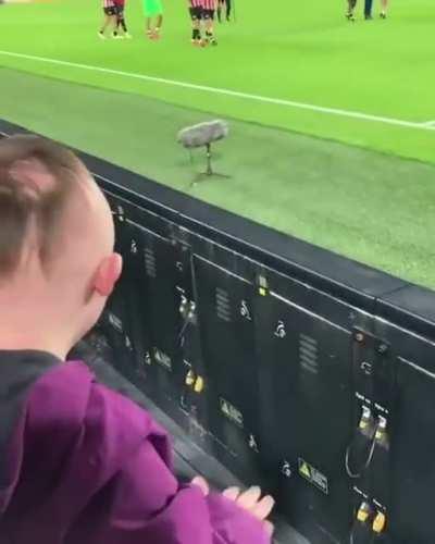 This is lovely! If this doesn’t make you smile this morning nothing will