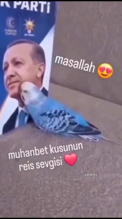 Şüphesizki en hayırlı kulum sessiz kulumun sevgisini kazanandır -Allah(S.A.V.)