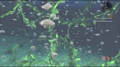 how rolling ACTUALLY feels like in DL