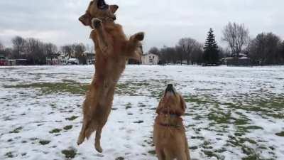 Brothers being derps