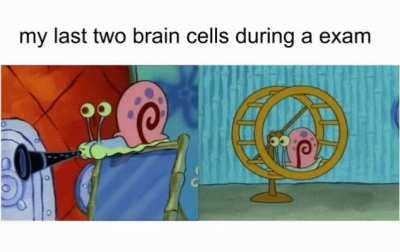 more brain cells then i got