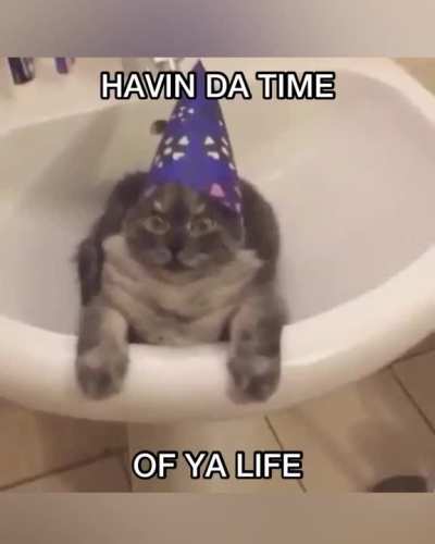 Me everytime when the castlevania