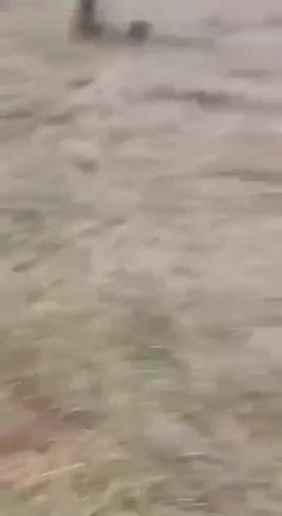 Russian cruise missile intercepted by Ukrainian MANPADS this morning