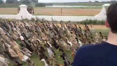 They are planning on something very huge! Beware!