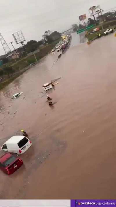 Mucho cuidado ⚠️⚠️⚠️⚠️