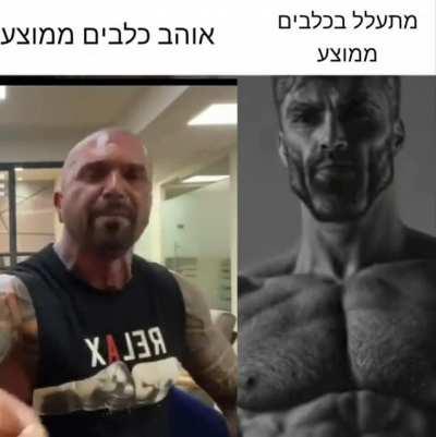 מסיבות חוקיות זו בדיחה