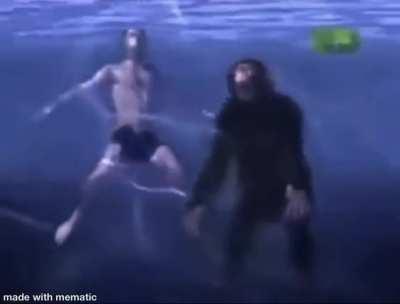 Stupid human propaganda 🤬🙉