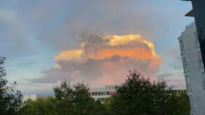 Gestern in Obersendling